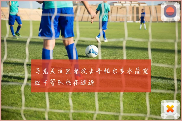 马竞关注里尔攻击手帕尔多水晶宫纽卡等队也在追逐