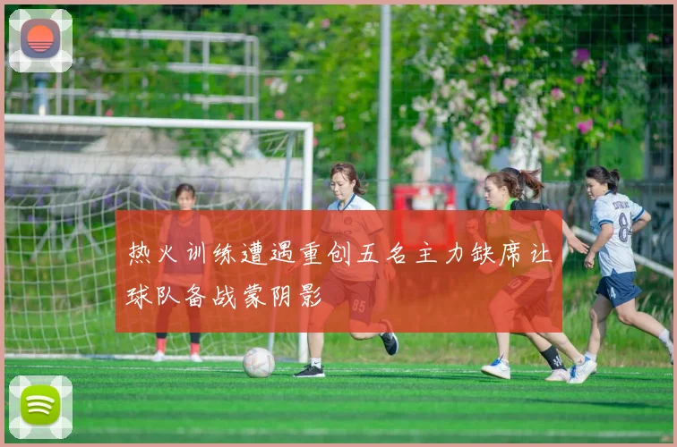 热火训练遭遇重创五名主力缺席让球队备战蒙阴影