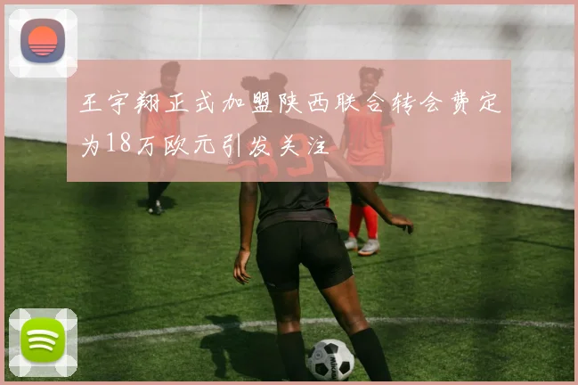 王宇翔正式加盟陕西联合转会费定为18万欧元引发关注